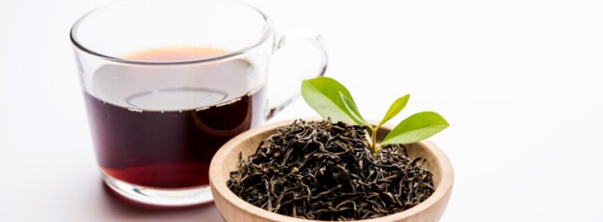 Untitled design - 2026-04-04T175636.474